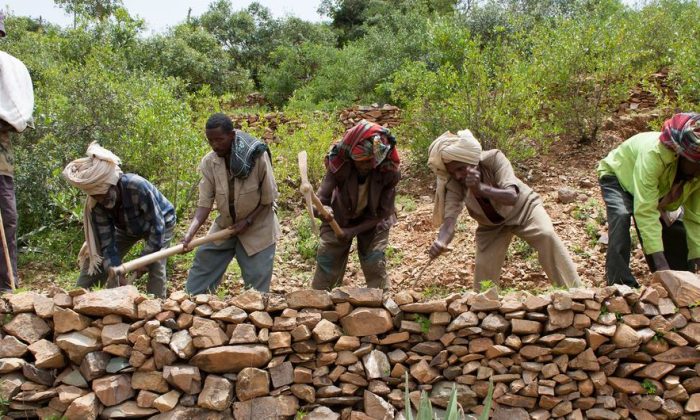 Protecting our ‘most vital infrastructure’: Pushing back on desertification
