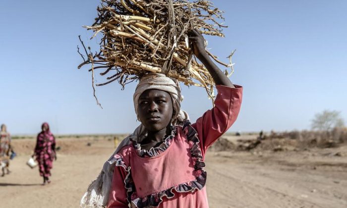 Security Council LIVE: War, hunger, flooding escalates in Sudan