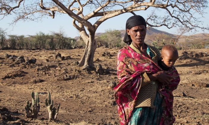 Strengthening El Niño to push 49 million more people into acute hunger