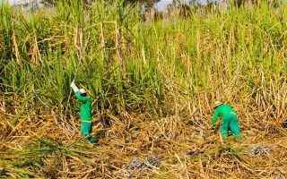 Food prices edged up in July amid heatwaves and energy price hikes