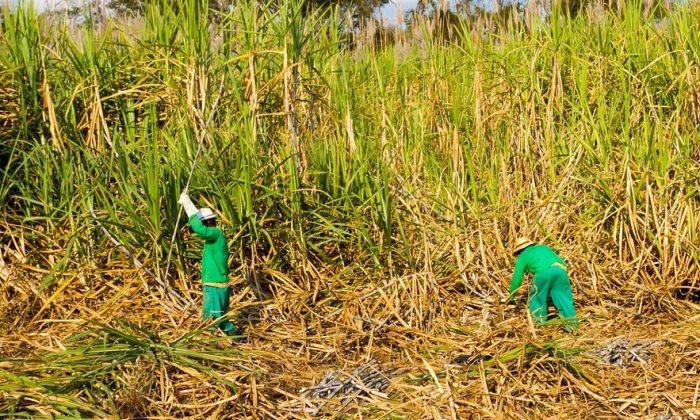 Food prices edged up in July amid heatwaves and energy price hikes