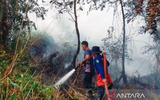 Damkar Gunungkidul menangani 49 kejadian karhutla sepanjang Mei-Agustus
