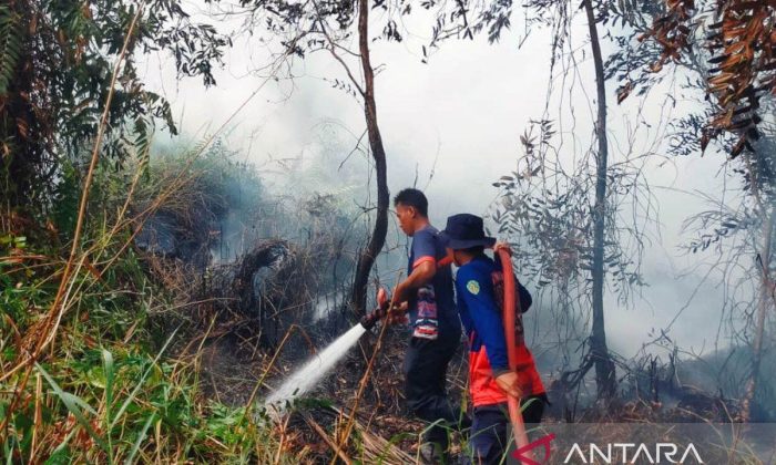 Damkar Gunungkidul menangani 49 kejadian karhutla sepanjang Mei-Agustus