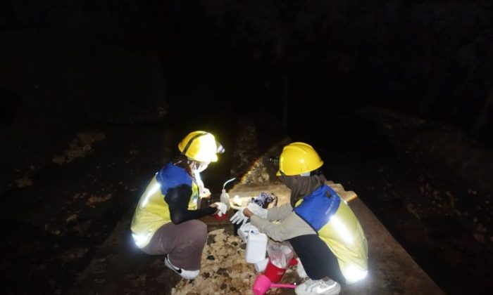 BBWSSO cek kualitas air enam titik sungai di Gunungkidul, Ini hasilnya