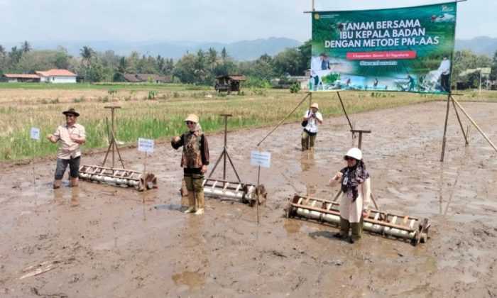 Pemkab Sleman mengoptimalkan irigasi perkuat ketahanan pangan