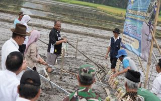 Sleman terapkan metode PM AAS untuk jaga ketahanan pahan