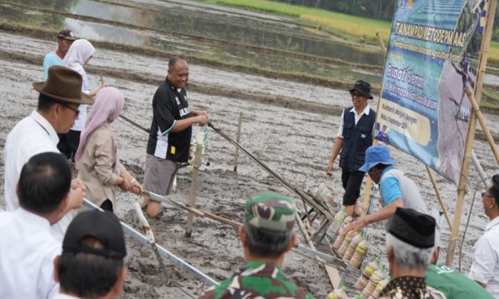 Sleman terapkan metode PM AAS untuk jaga ketahanan pahan
