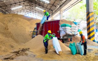 SIG gunakan 400 ton sekam padi per hari sebagai bahan bakar alternatif