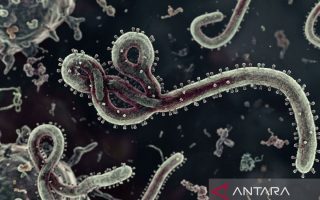 Badan pengawas Rusia: Uganda berhasil atasi wabah Ebola terbaru,