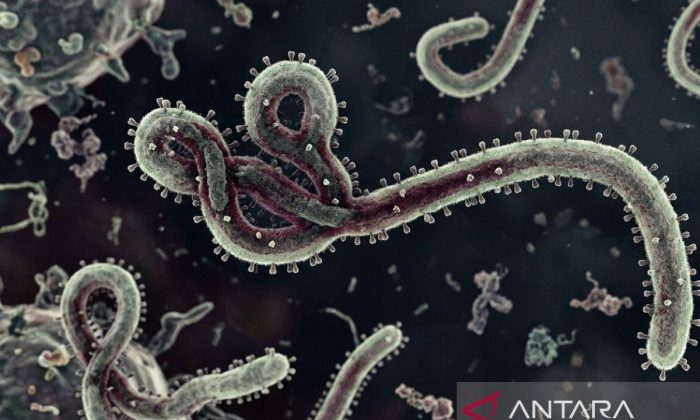 Badan pengawas Rusia: Uganda berhasil atasi wabah Ebola terbaru,