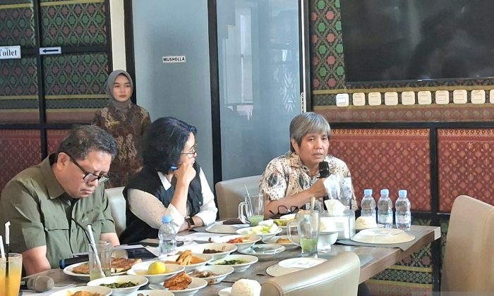 KLH utamakan pembangunan PSEL di tiga daerah dengan fiskal tinggi