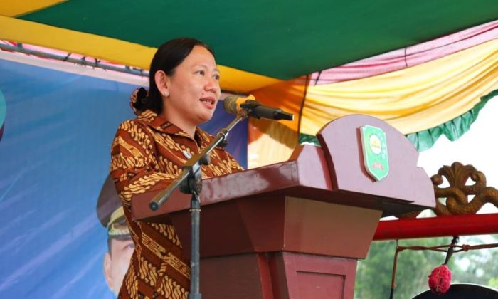 Kemenkes catat 40.363 balita terkena ISPA di wilayah karhutla
