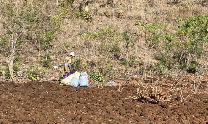 BPBD Gunungkidul memperpanjang status siaga darurat hidrometeorologi