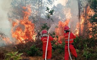 71 Ribu Hektare Karhutla di Enam Provinsi Berhasil Dipadamkan, BNPB: Masih Ada Api yang Mengancam