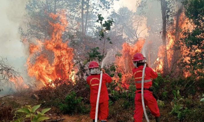 71 Ribu Hektare Karhutla di Enam Provinsi Berhasil Dipadamkan, BNPB: Masih Ada Api yang Mengancam