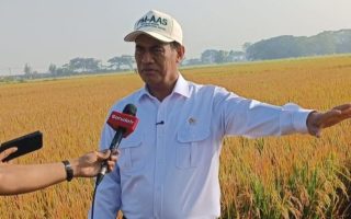 Mentan Sebut Pengembangan Bioetanol Berpotensi Ciptakan 8 Juta Lapangan Pekerjaan