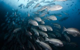 Norway’s Development Rethink Should See Ocean Investment as a Strategic Interest