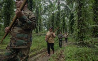 Killing of Environmental Defenders Reflects Power Struggle Over World’s Resources