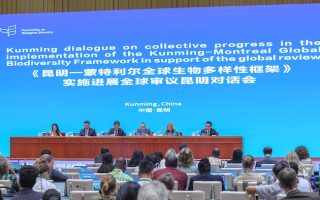 Ahead of COP17, UN Biodiversity Chief Urges Urgent Realignment of Finance with Nature Goals
