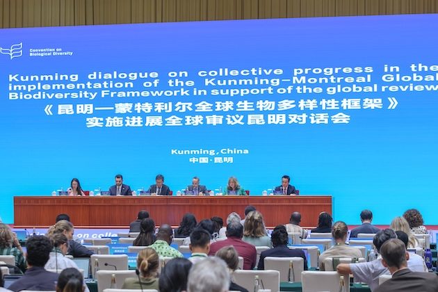 Ahead of COP17, UN Biodiversity Chief Urges Urgent Realignment of Finance with Nature Goals
