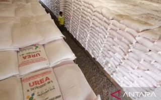 Pemkab Bantul catat serapan pupuk subsidi mencapai 70 persen