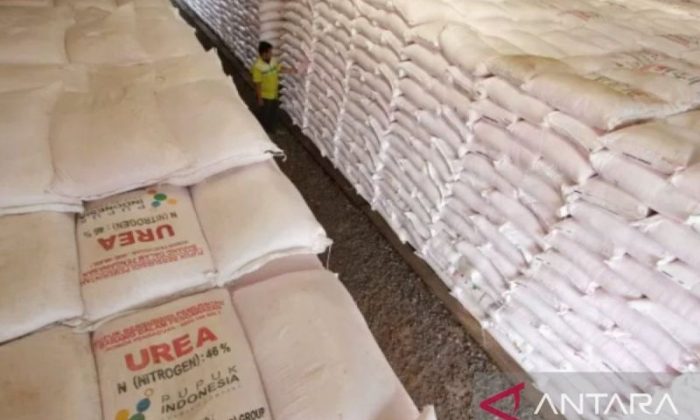 Pemkab Bantul catat serapan pupuk subsidi mencapai 70 persen