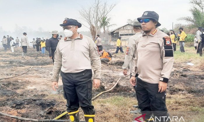 Polisi tetapkan tujuh tersangka pembakar lahan di Kalsel