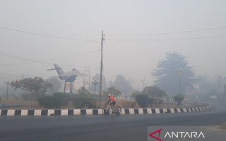 Udara segar yang dirindukan