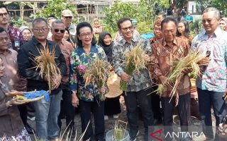 Pemkot Yogyakarta optimalkan keterbatasan lahan untuk pertanian terpadu