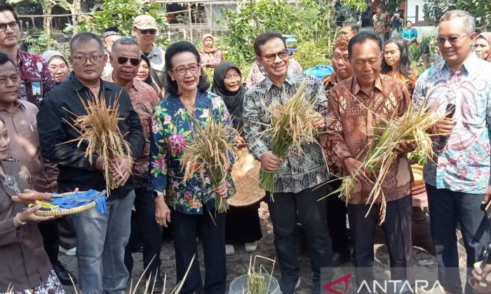 Pemkot Yogyakarta optimalkan keterbatasan lahan untuk pertanian terpadu