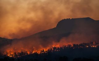 The Overlooked Fast Track for Cutting Planetary Warming