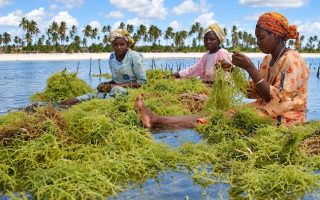 New Ocean Report Warns of Rising Seas, Ocean Heat and Acidification