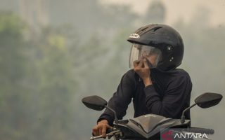 KLH lakukan penegakan hukum 21 perusahaan terkait karhutla