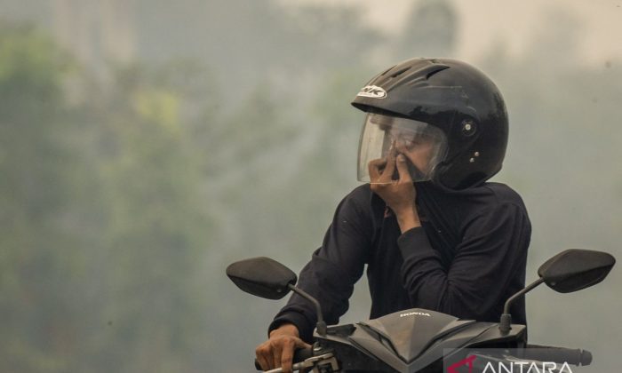 KLH lakukan penegakan hukum 21 perusahaan terkait karhutla