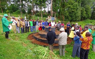 Africa Has the Answers to Its Food Security Challenges. What It Needs Is the Architecture to Act on Them
