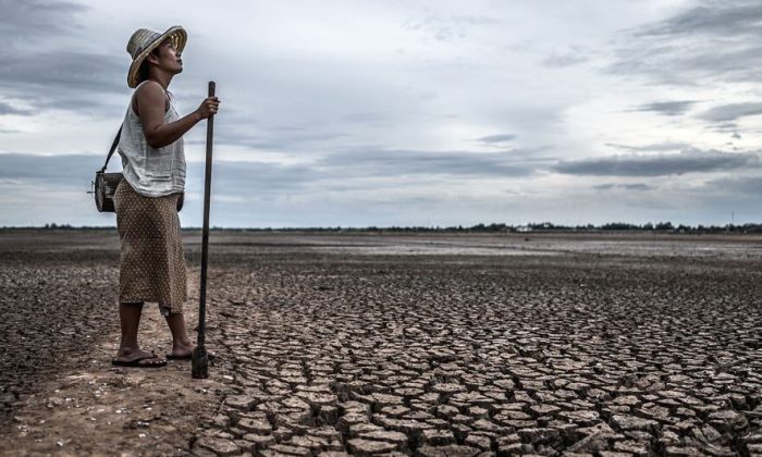 ‘Fight for humanity’: Avoiding a climate catastrophe means acting now