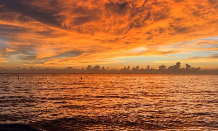 The world just had the hottest August ever