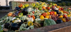 Clean your plate – to reduce food loss and waste