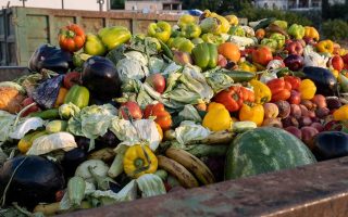 Clean your plate – to reduce food loss and waste