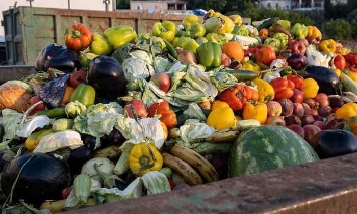Clean your plate – to reduce food loss and waste