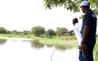New reservoir offers innovative solution to South Sudan cattle beef