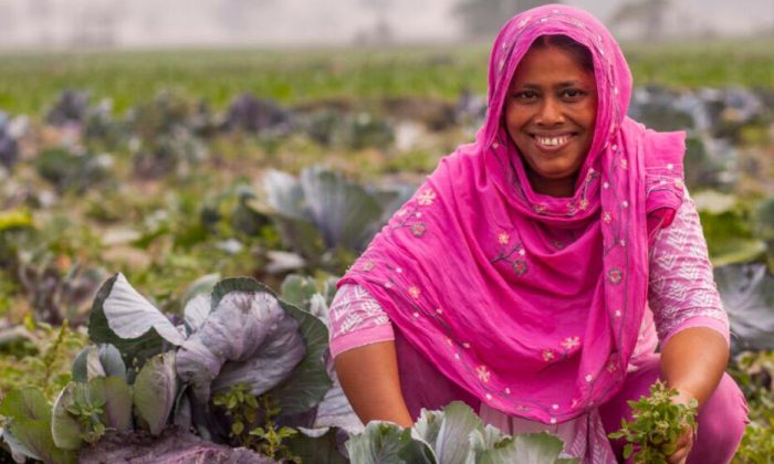 Why climate action now comes down to speed, finance and cooperation
