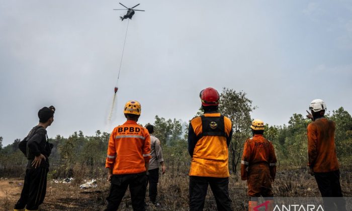 BNPB: Lima helikopter dikerahkan untuk padamkan karhutla di Kalsel