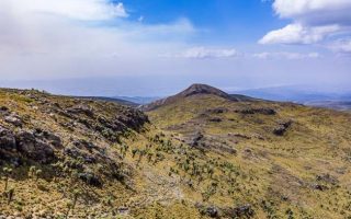 Africa’s Rangelands Are the Frontline of Resilience – COP17 Showed Why