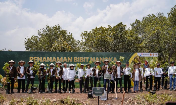 Pertamina menggelar panen raya nangka, perkuat ekonomi desa di Gunungkidul