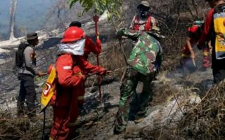 Jalur pendakian Senaru Gunung Rinjani kembali dibuka