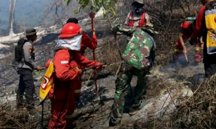 Jalur pendakian Senaru Gunung Rinjani kembali dibuka