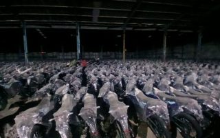 Kolonel Budi Utomo Jadi Tersangka, Begini Perannya dalam Pengadaan Motor Listrik BGN