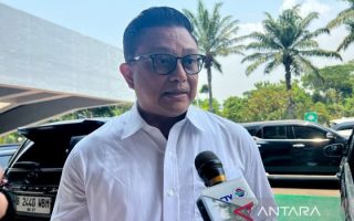 Bapanas jamin stabilitas beras premium usai tarik fortifikasi culas