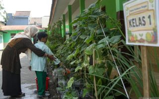 Edukasi ketahanan pangan mandiri